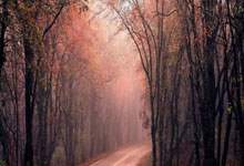 支付设备租赁费怎么做账,付设备租金怎么做分录