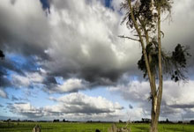 支付设备租赁费怎么做账,付设备租金怎么做分录