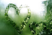 支付设备租赁费怎么做账,付设备租金怎么做分录