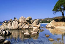 支付设备租赁费怎么做账,付设备租金怎么做分录